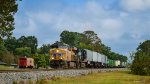 UP 8264